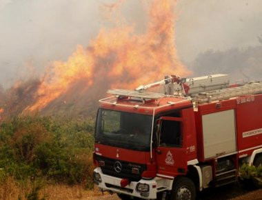 Πυρκαγιά ξέσπασε στη Αγιά της Λάρισας